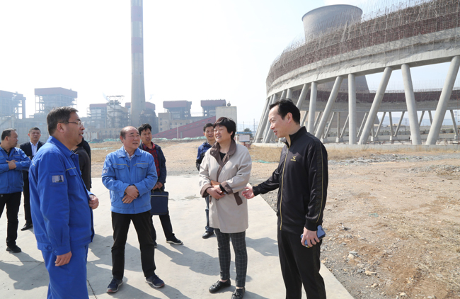 洛阳市重点办主任顾海婵一行到 加拿大28开奖官网开奖网址2×60万千瓦机组工地调研