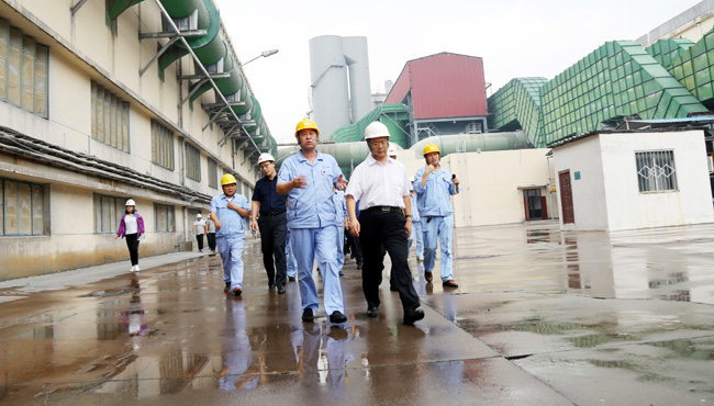 洛阳市工信委组织到加拿大28开奖官网开奖网址集团观摩“三大改造”项目